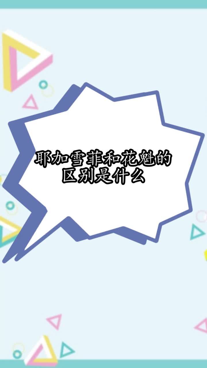 耶加雪菲和花魁的区别是什么,你看懂了吗