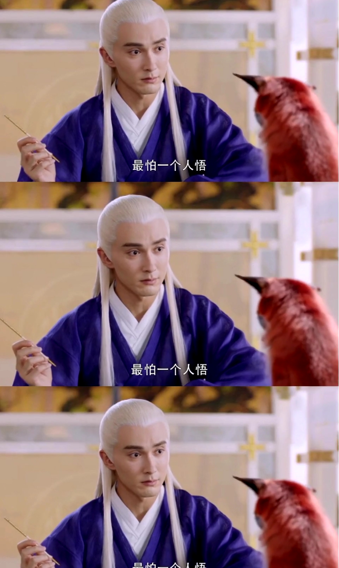 东华帝君白凤九#帝君对这个小狐狸真是宠溺的很