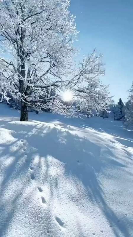 发个视频 让别人知道