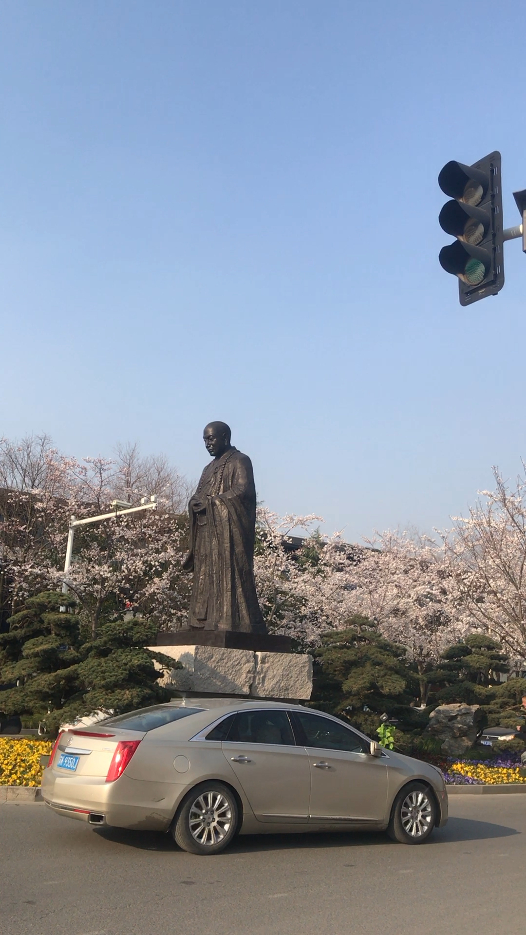 赏樱花何必去日本,扬州鉴真寺樱花大道