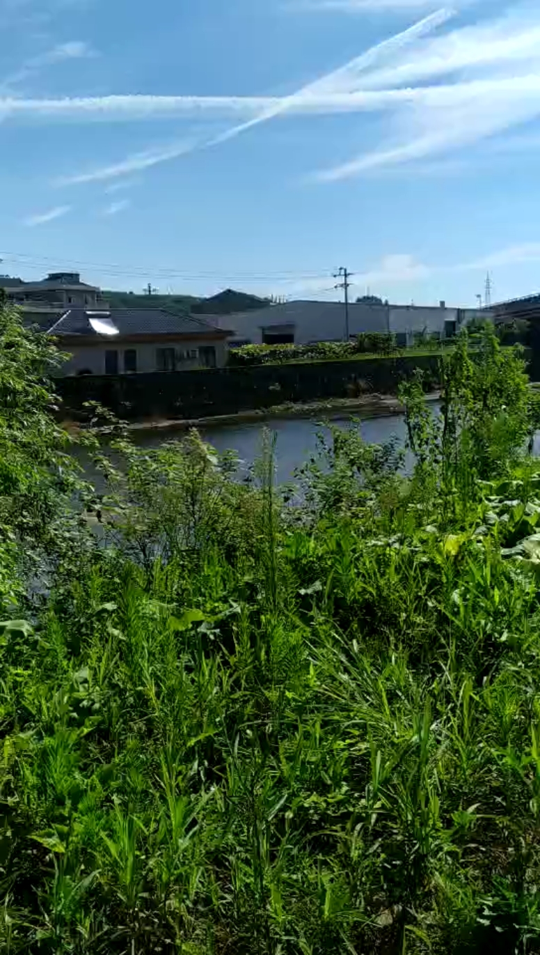 乡村生活#乡村生活农村河边