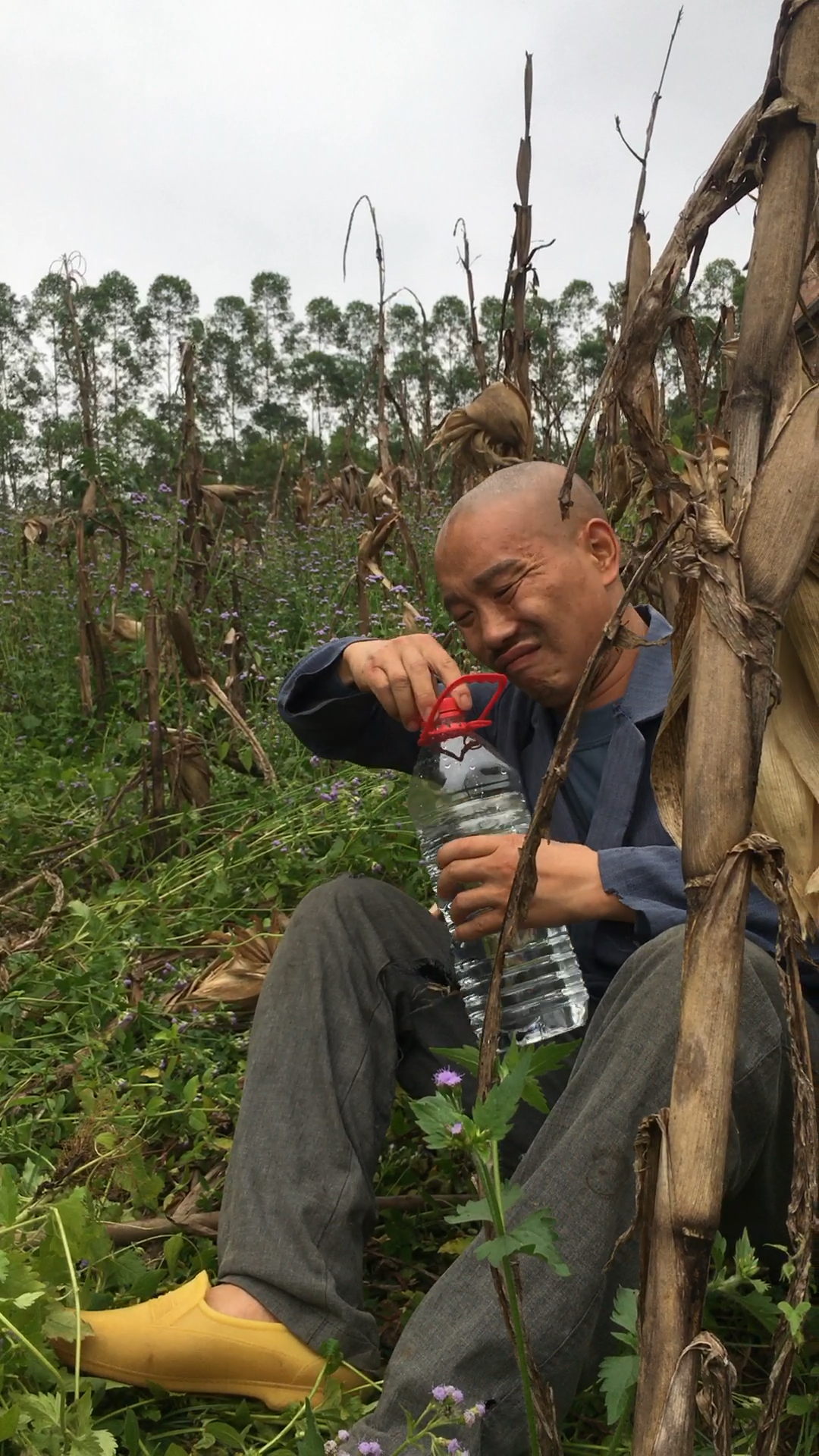 老父亲正在地里干活,稍后发生什么请看下一节