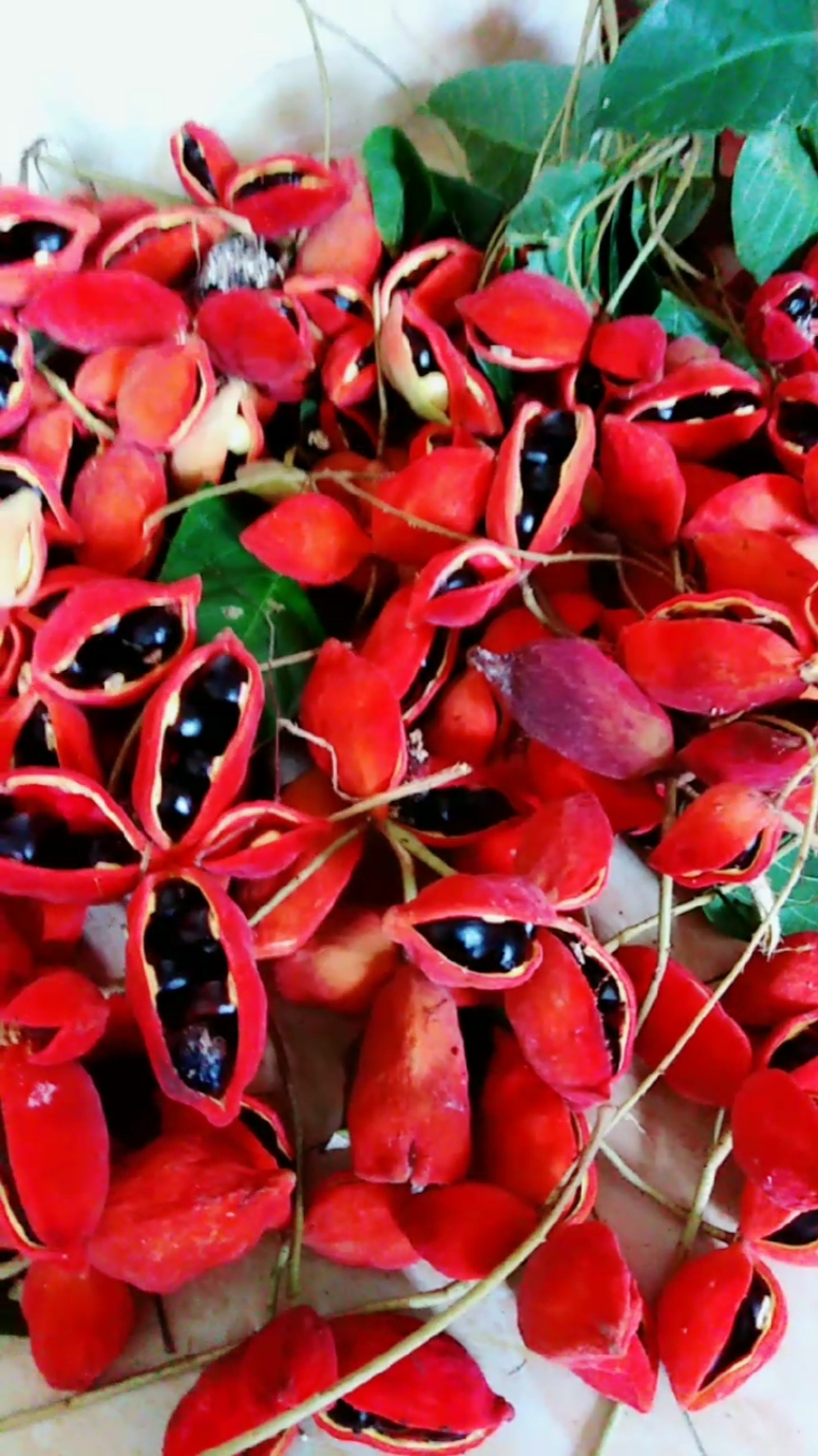 我要上热门#六旺子