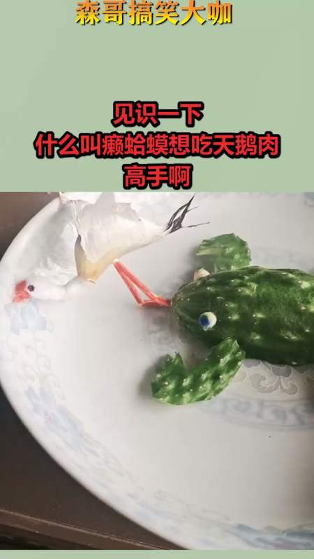 搞笑视频#见识一下,什么叫癞蛤蟆想吃天鹅肉,高手啊