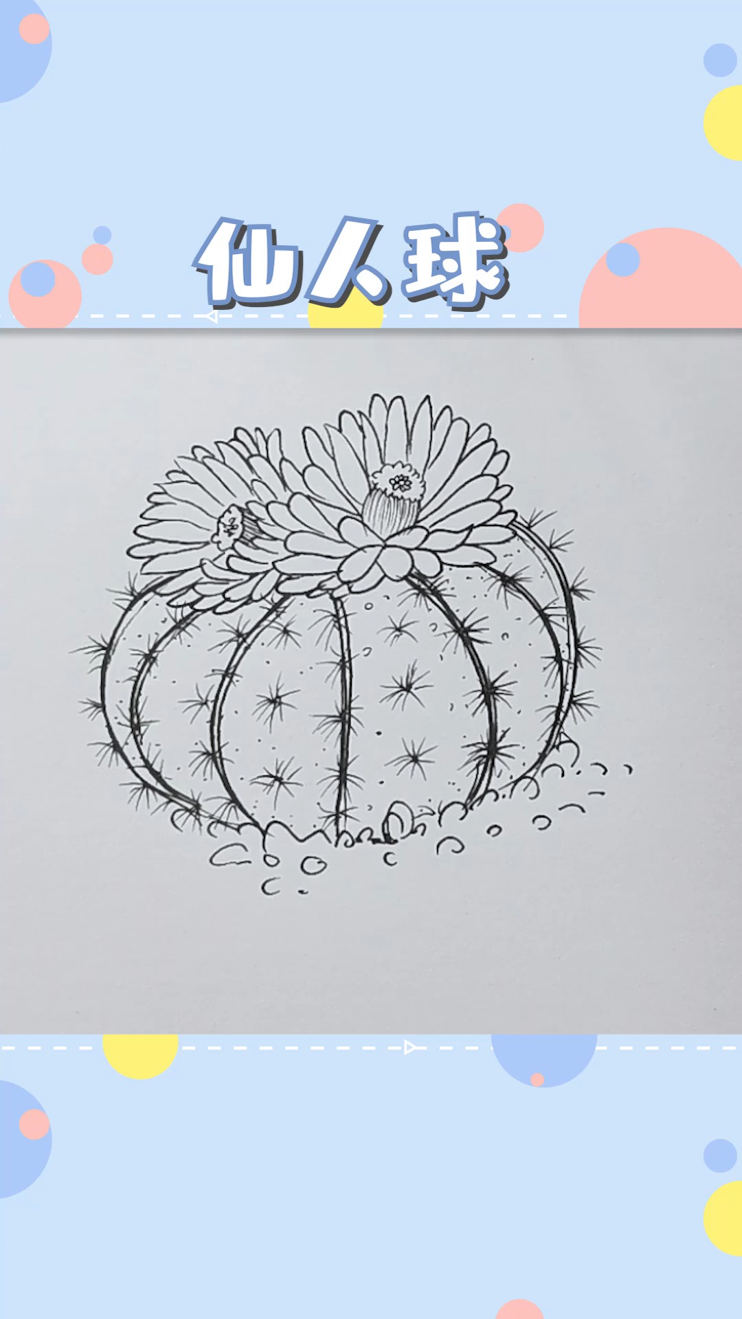 简笔画#仙人球浑身长刺,可它的花却特别的美!