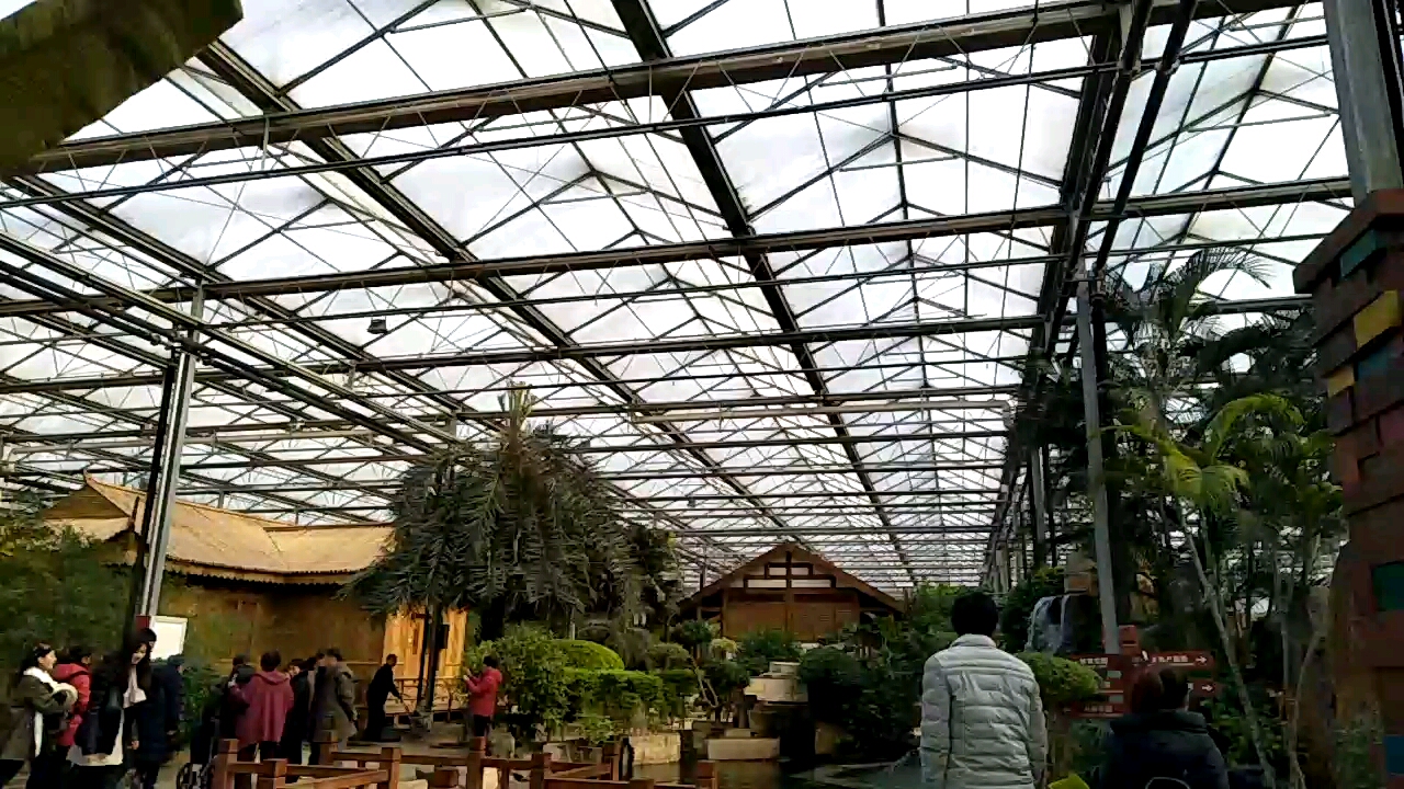 保定徐水-大午室内生态园,植物生长茂盛,环境优美,赢得游客的青睐.