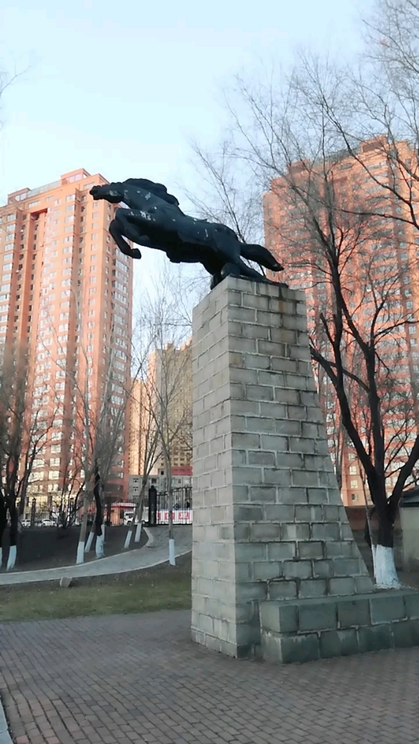 黑马腾空了,一跃冲天.