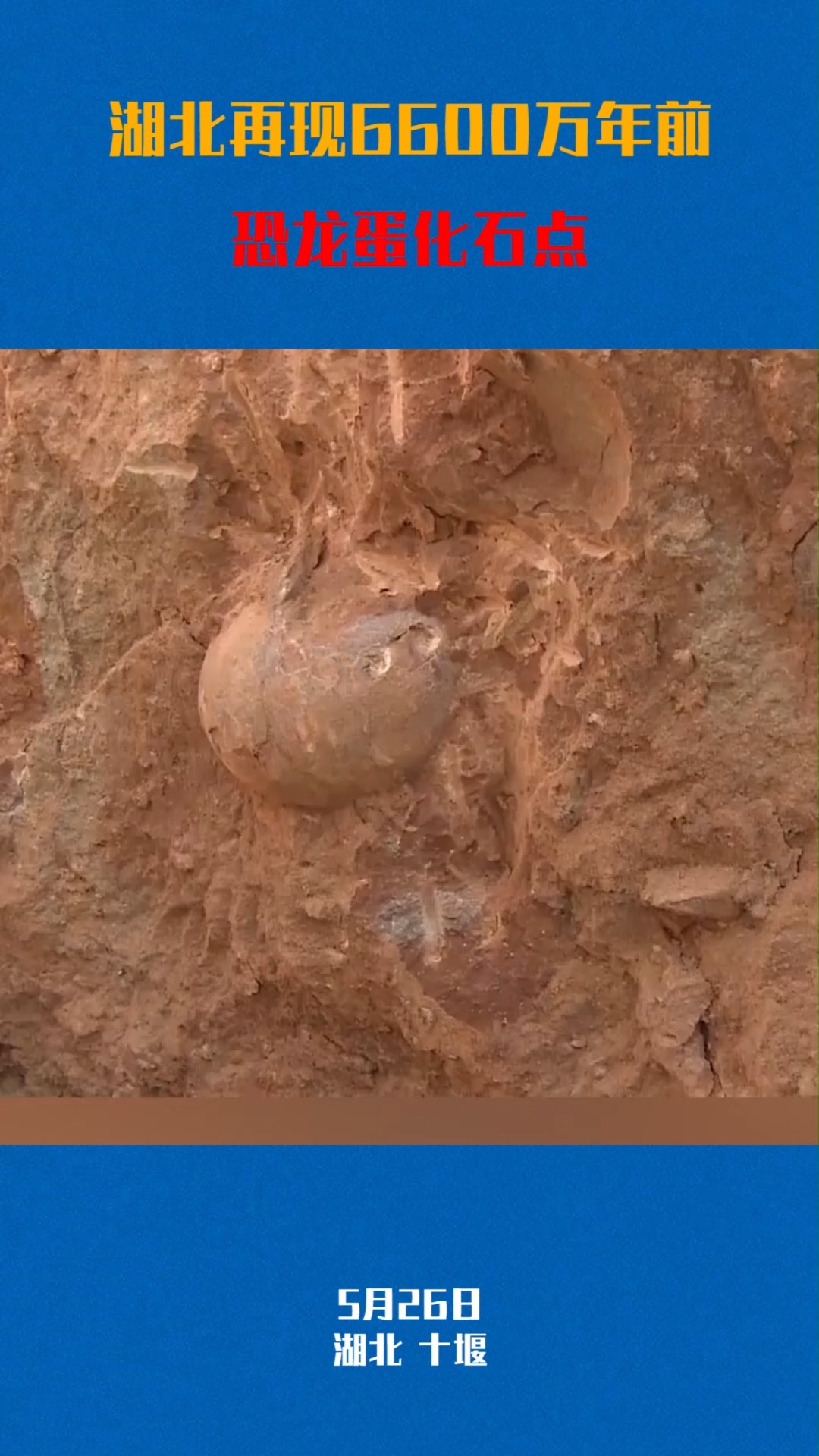 我要上热门#湖北再现6600万年前恐龙蛋化石点,初步推测是新的恐龙蛋