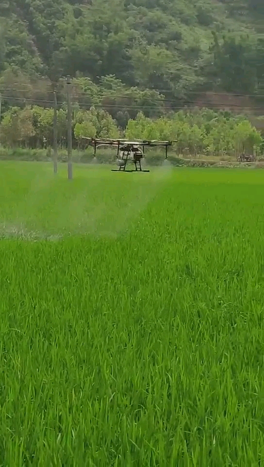 用无人机打虫