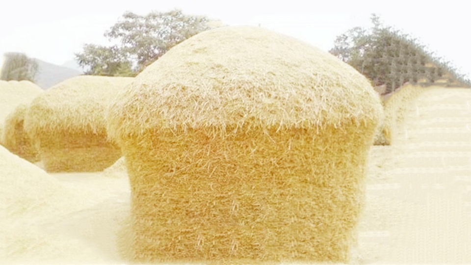 另类说三农:还记得小时候堆的麦垛吗?