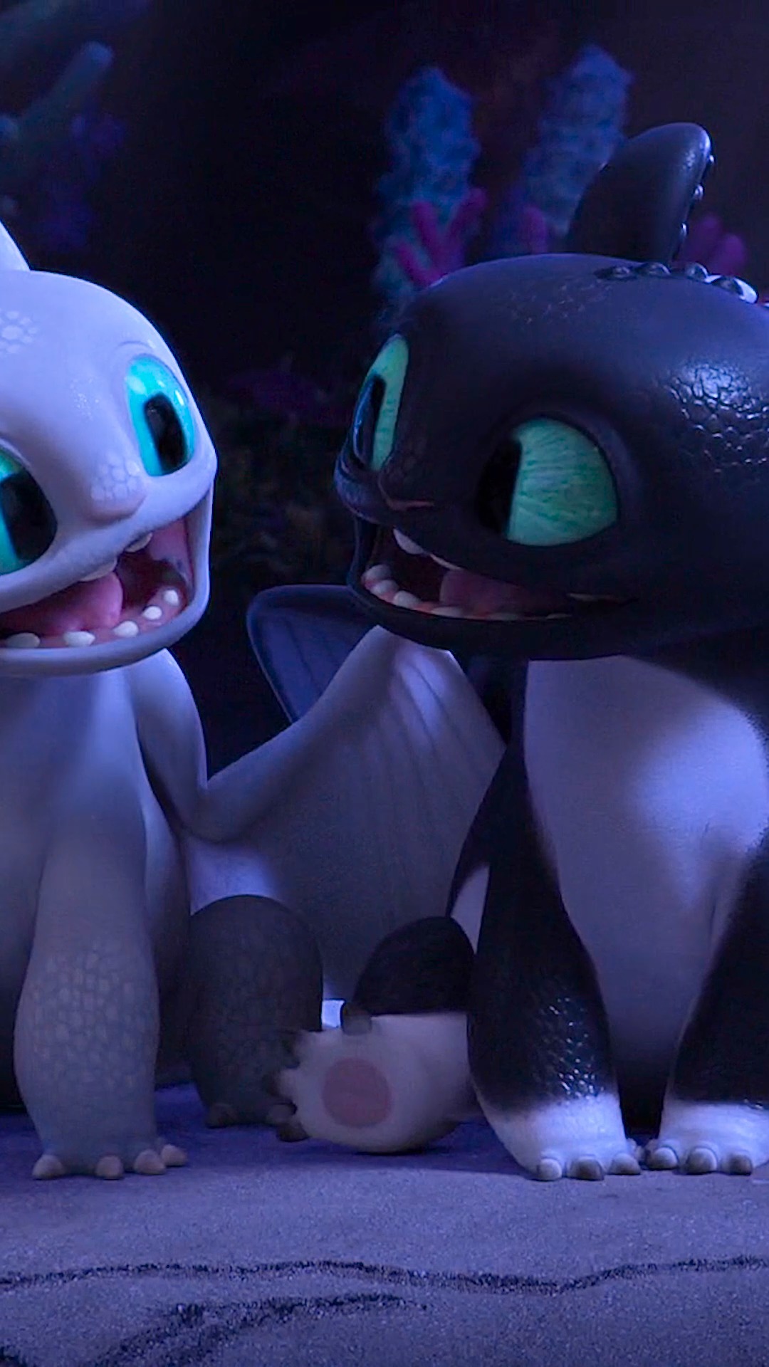 高清60帧#无牙仔幸福一家