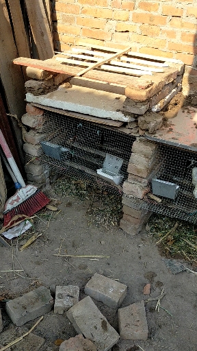 兔子窝不够用了,垒几个新窝,加油