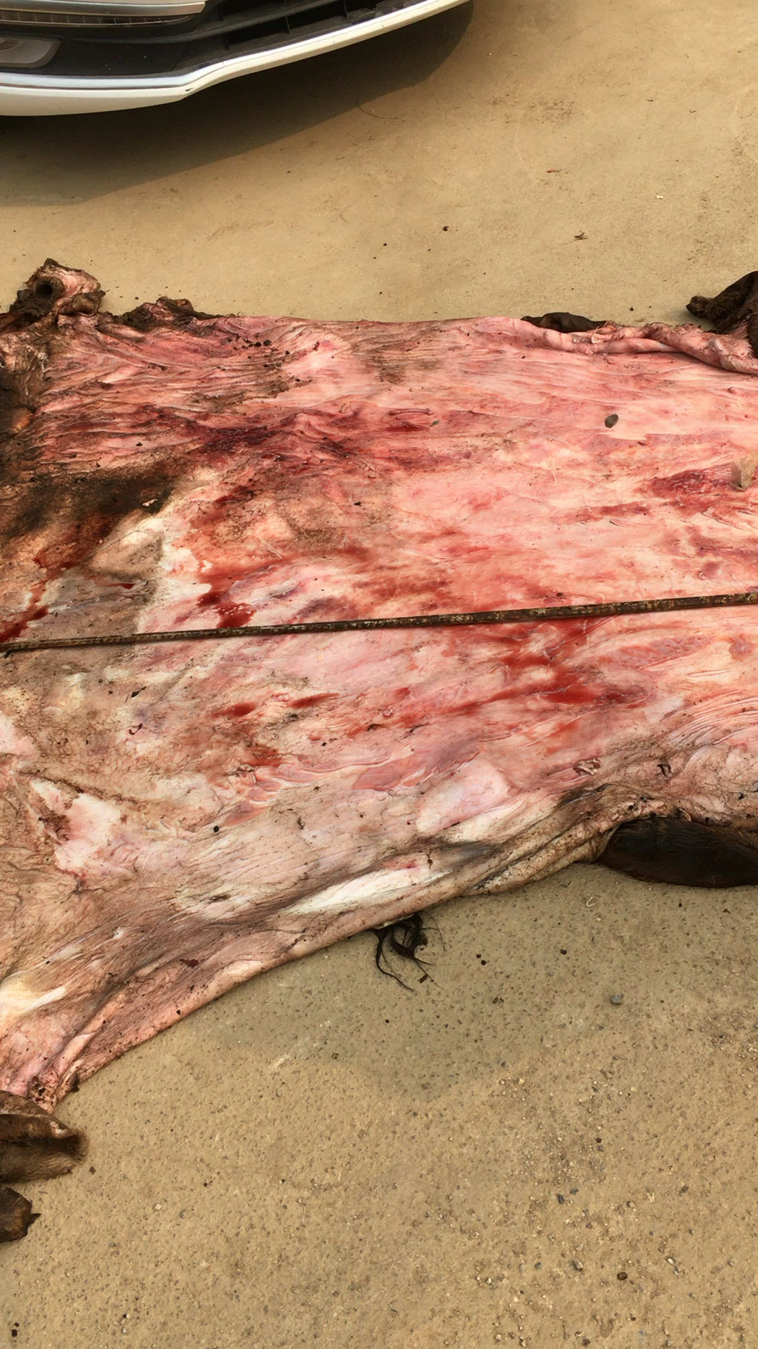 一张牛皮80元,我勒个去,做成包包和鞋子贵的不行