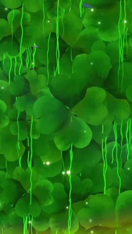 幸运的四叶草祝福希望把这份好运带给屏幕前所有人早安