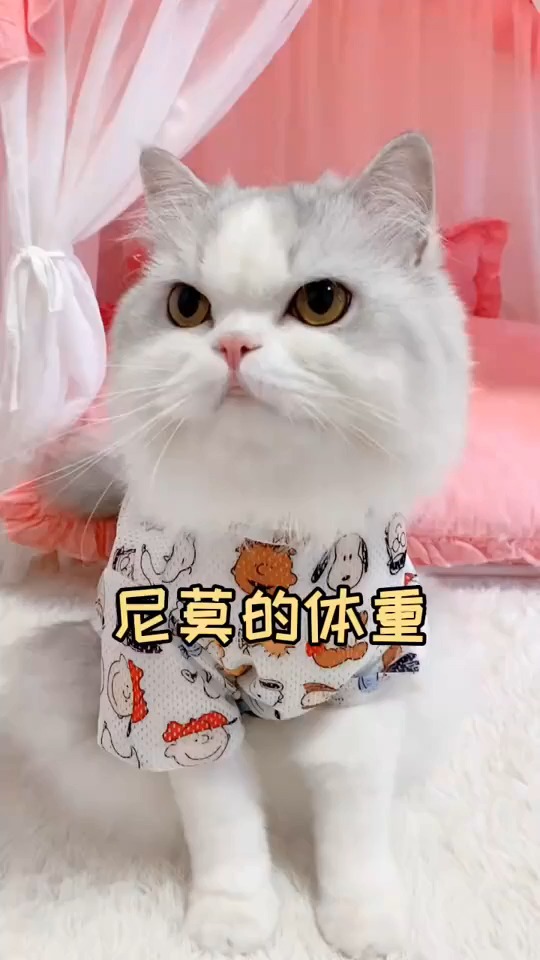 没想到尼莫的体重就这样暴露了