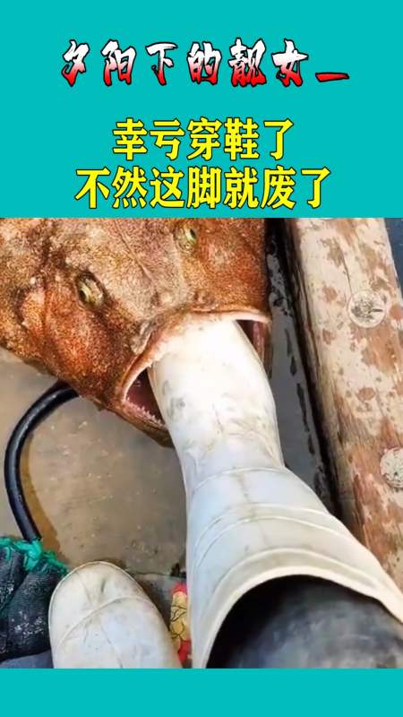 幸亏穿鞋了,不然这脚就废了,隔着屏幕都感觉脚疼!