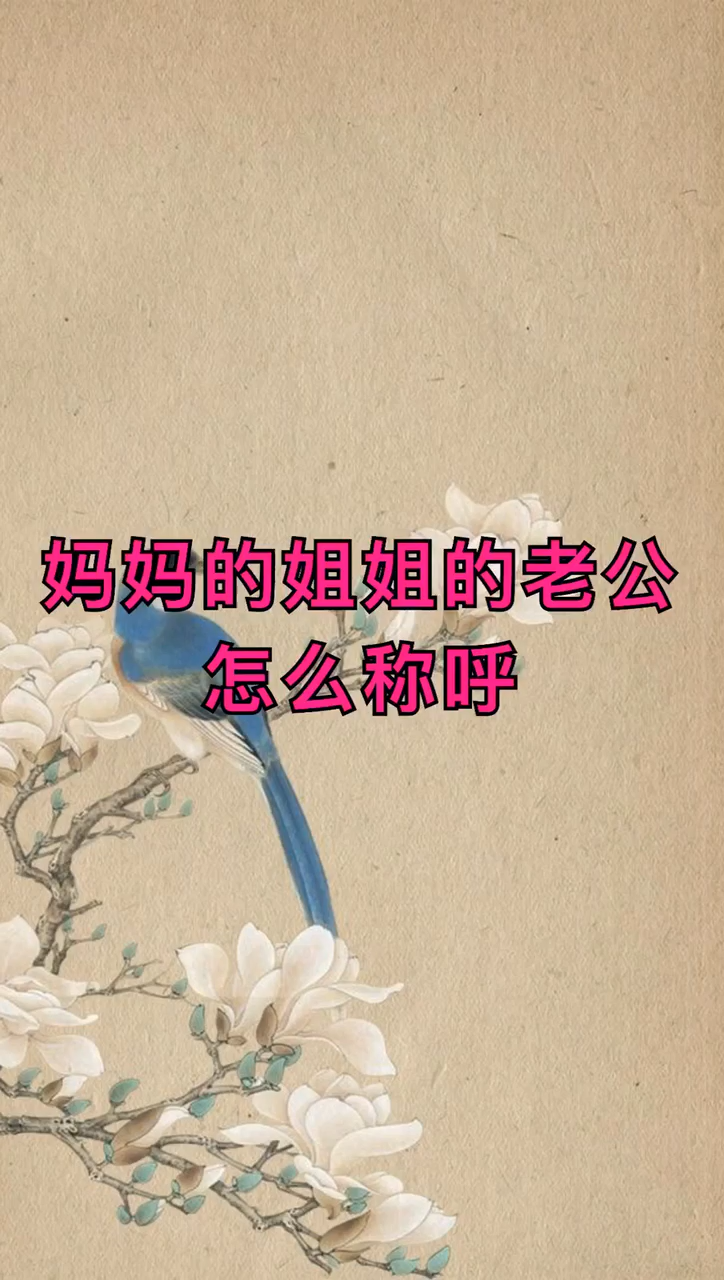 妈妈的姐姐的老公怎么称呼?