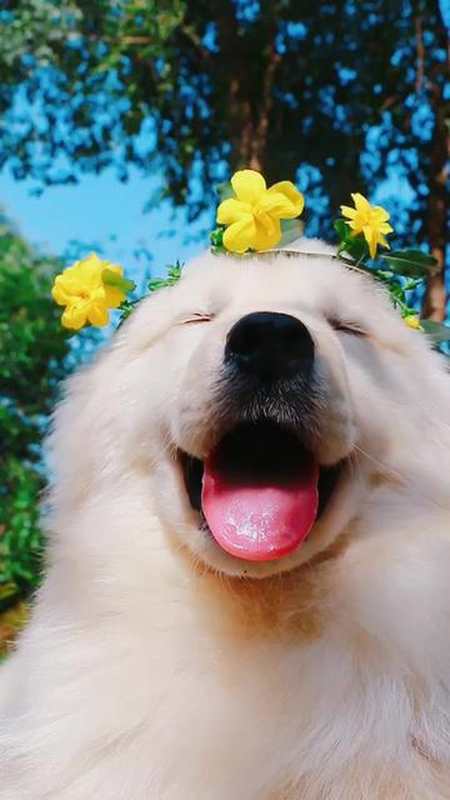 当你的眼睛眯着笑,像极了什么?