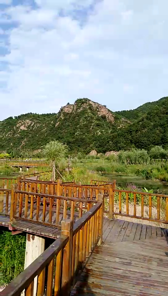 承德中药谷欢迎您