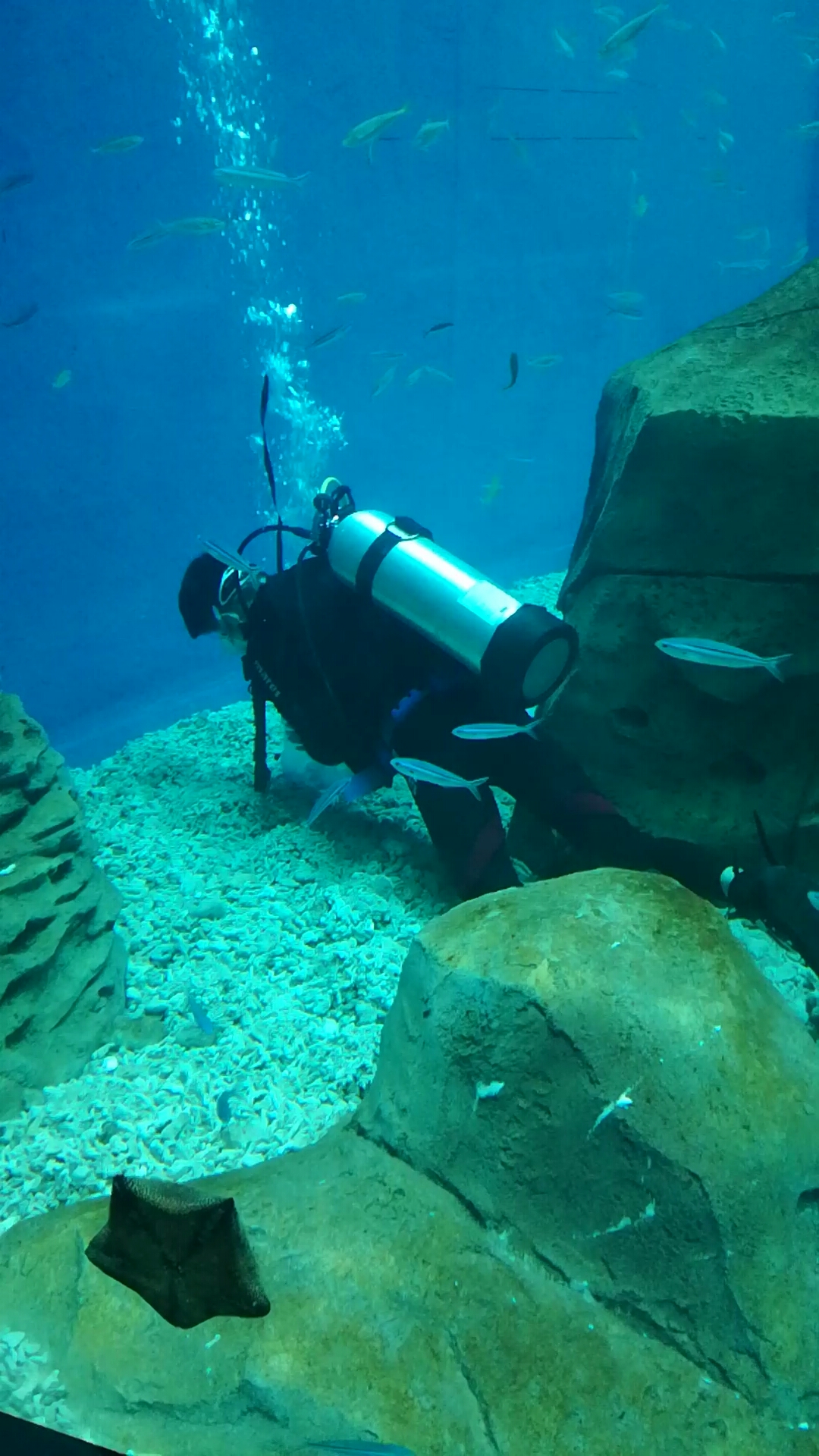 带上全民去旅行#潜水员水下作业