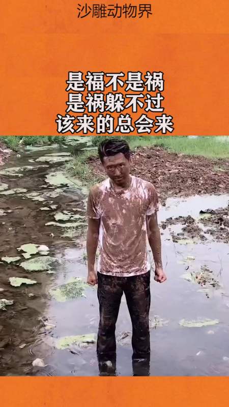 我要上热门#是福不是祸,是祸躲不过,该来的总会来