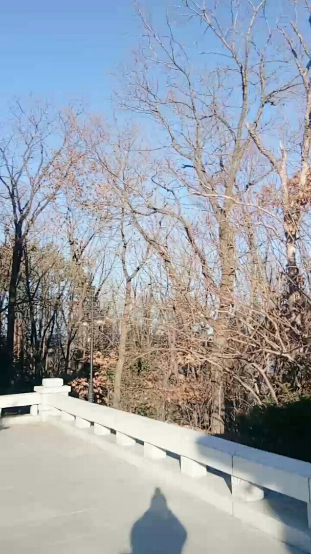 饶河县南山公园一角