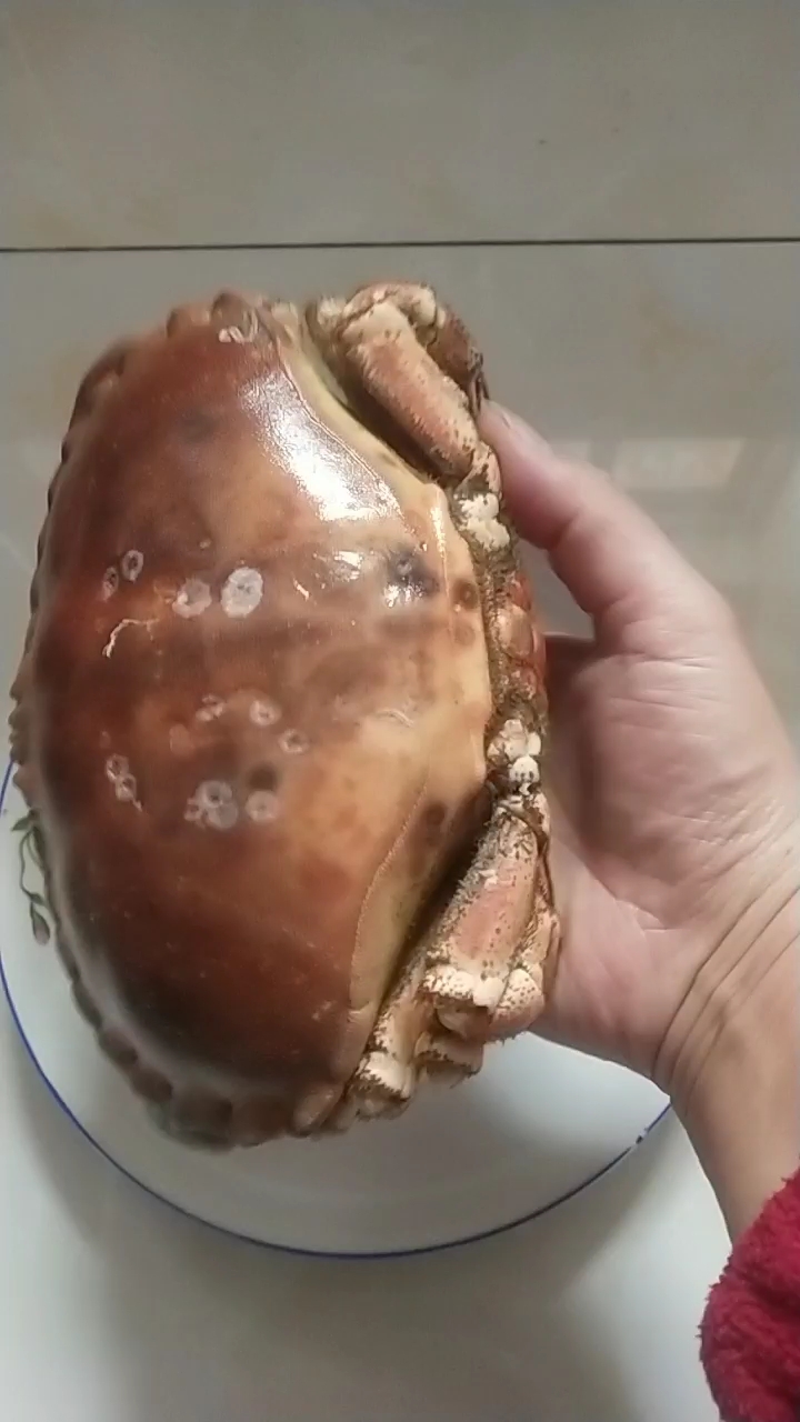 今晚就盘你,好大个的面包蟹!