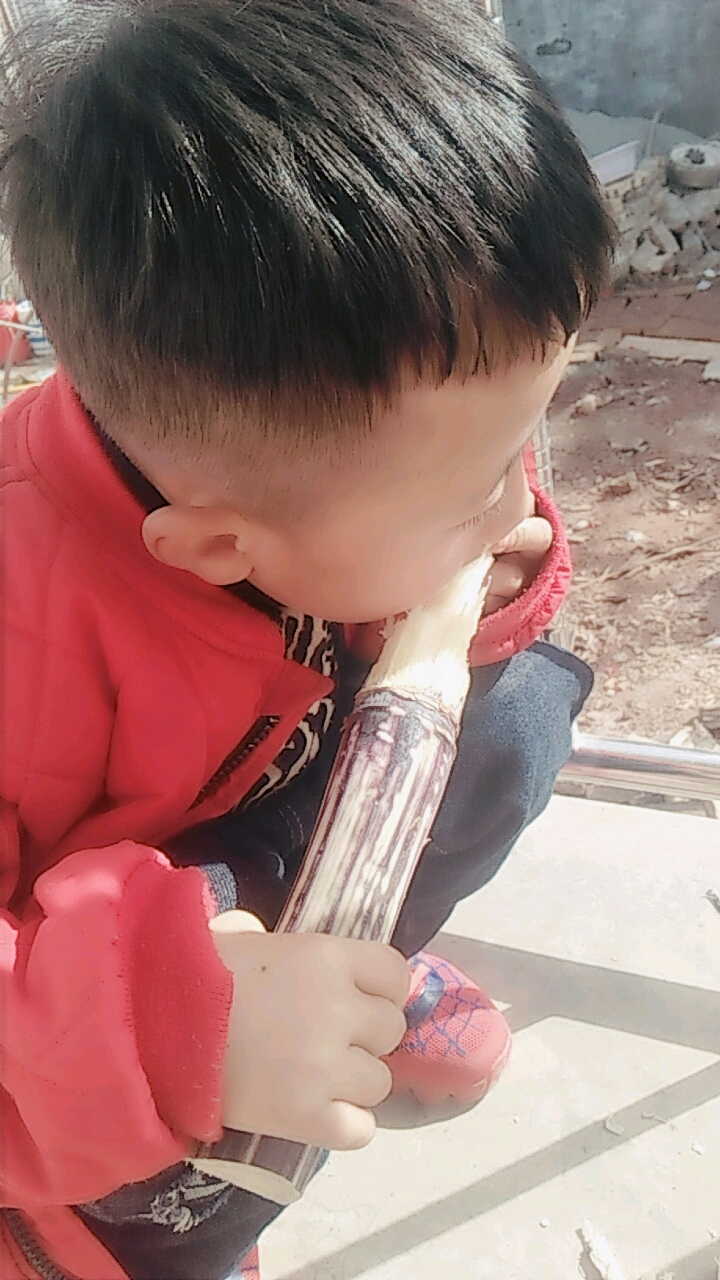 女汉子果果和她哥哥啃甘蔗