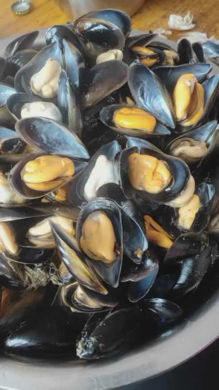 好多人不知道海虹肉为什么有白色的有黄的白的是公黄的是母