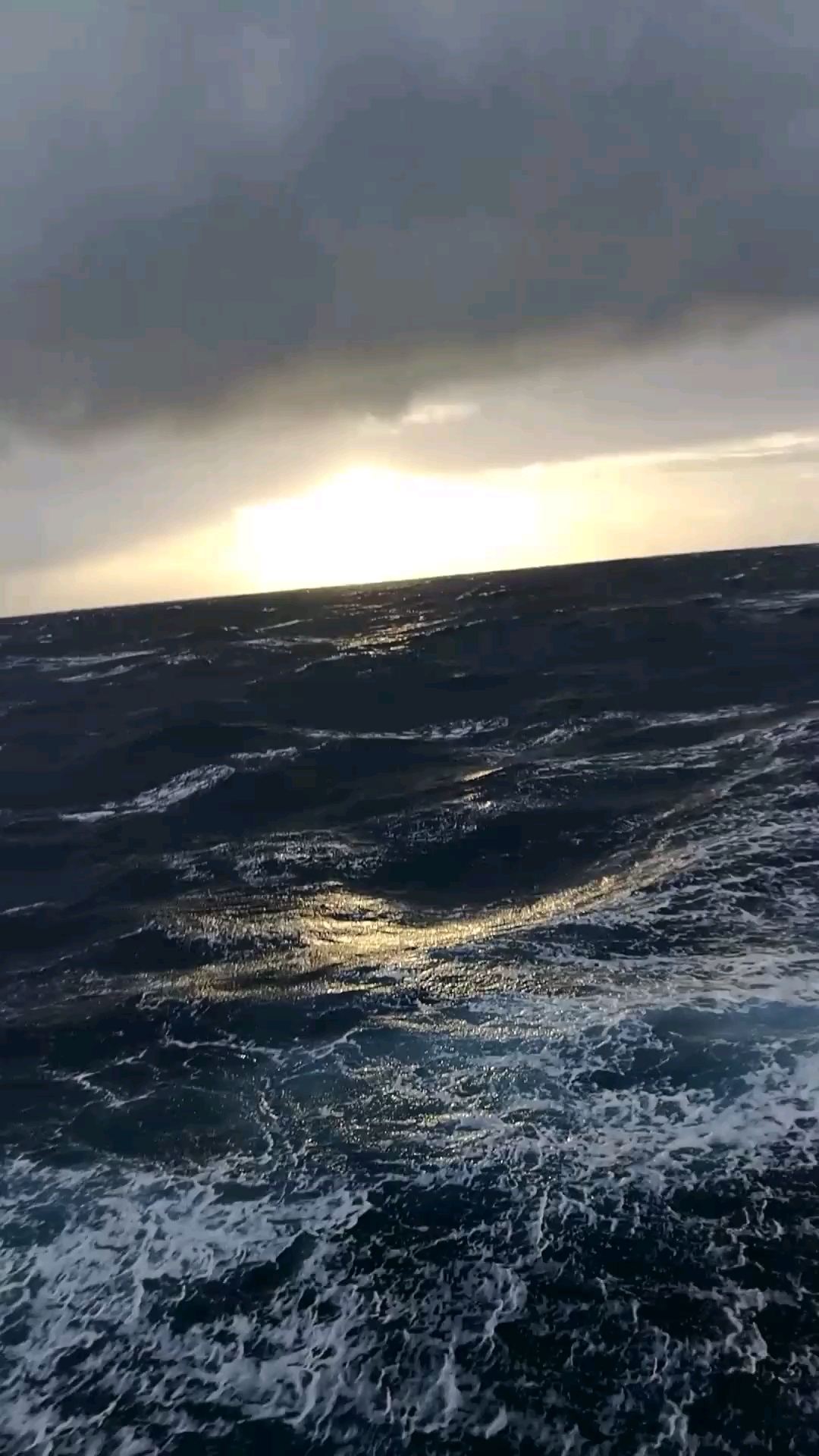 老天爷,我都飘洋过海了,你还要我怎么样,我明明那么努力,为什么还要