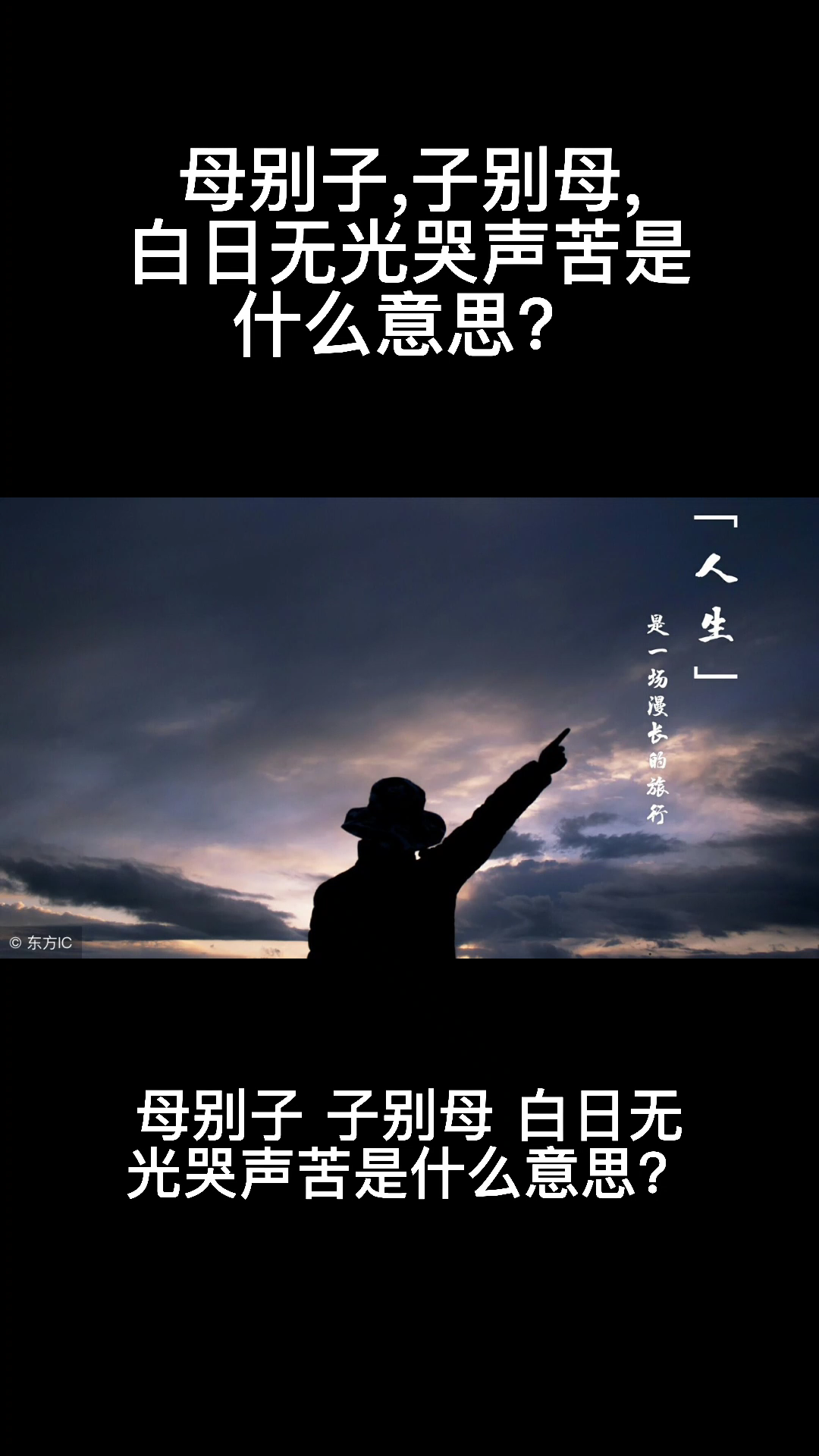 母别子,子别母,白日无光哭声苦是什么意思?