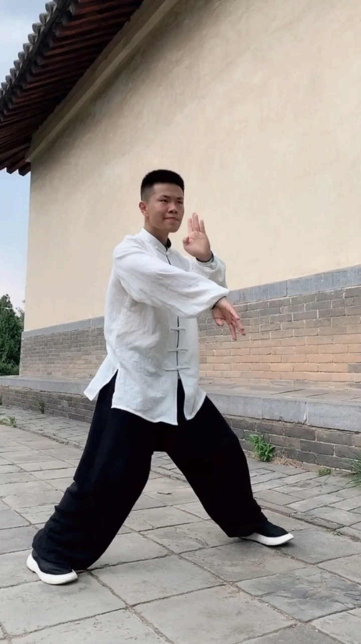 练了10年的南方快拳.