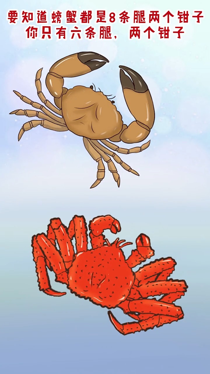 帝王蟹和皇帝蟹,究竟谁才是真正的蟹中之王?