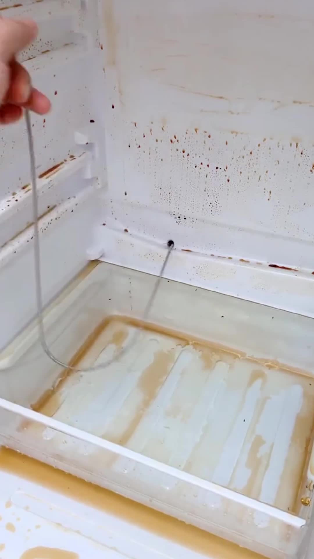 我要上热门这个冰箱管道疏通器很实用再也不用担心冰箱结冰积水了