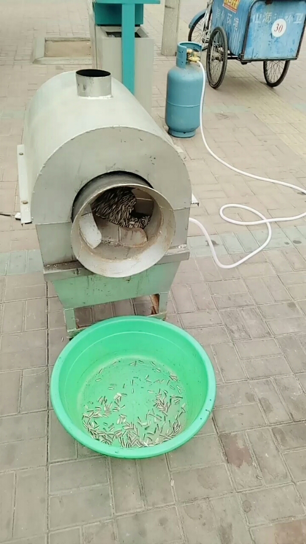 大锅炒瓜子.