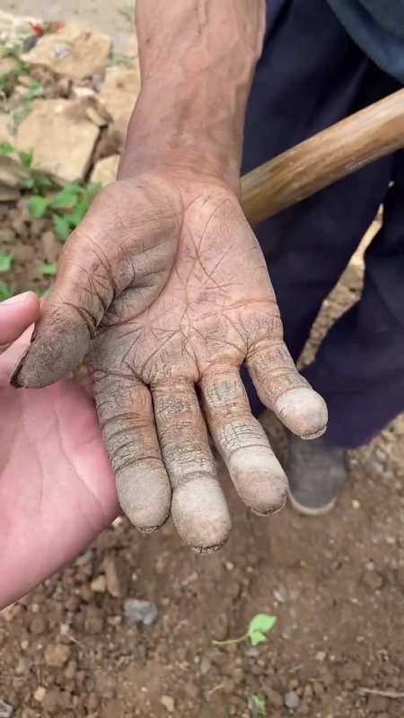 会有很多人喜欢,爷爷这样的农民,只能露下了一辈子力的手,不知道会不