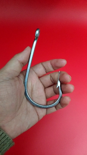 绑个鱼钩钓鲨鱼