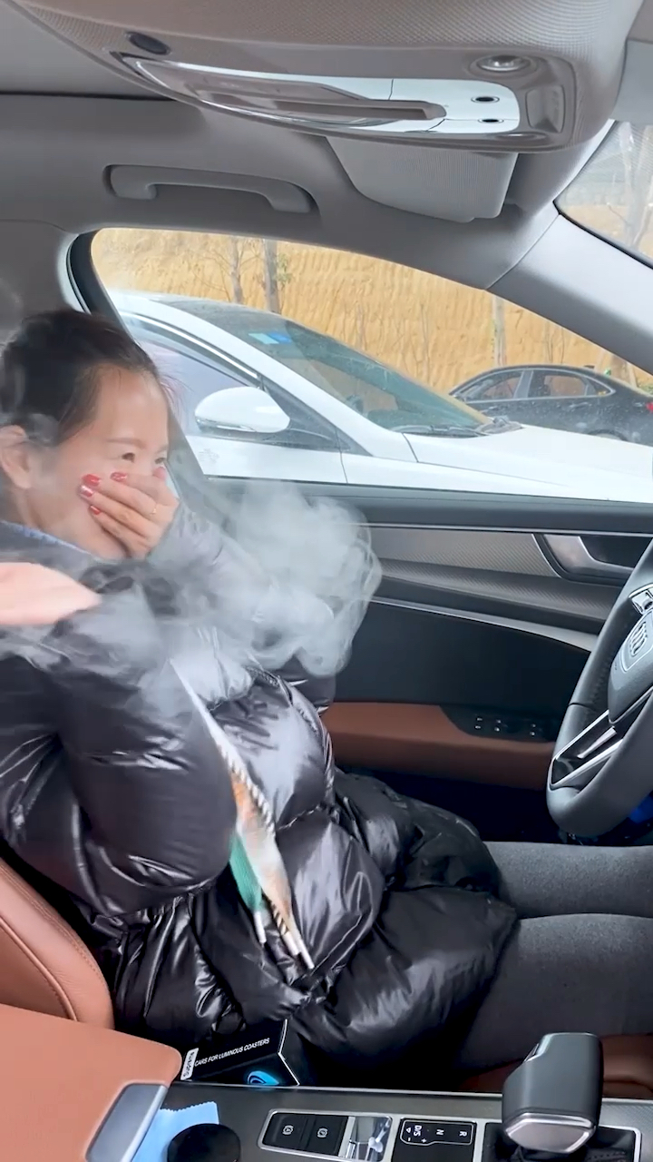 自从车里粘上它,再也没有人在我车内吸烟啦