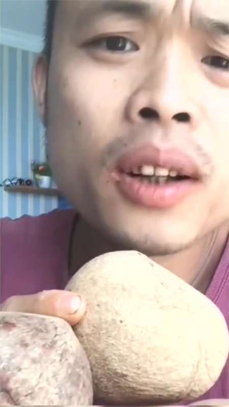 槟榔哥带你吃世界上最小的椰子,这原生态的吃法,不怕扎嘴吗