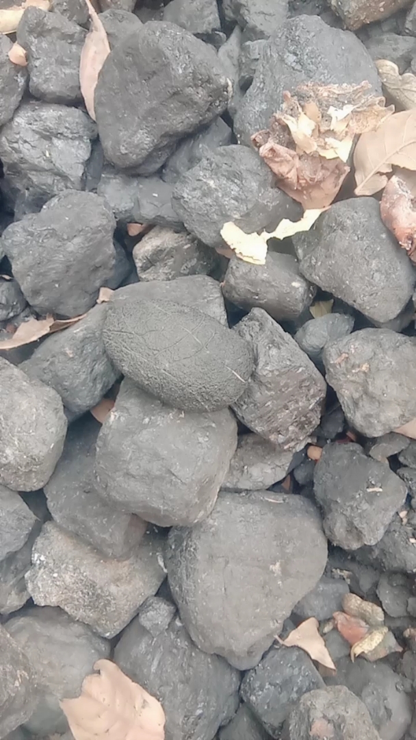 煤炭里炼黑灰金石