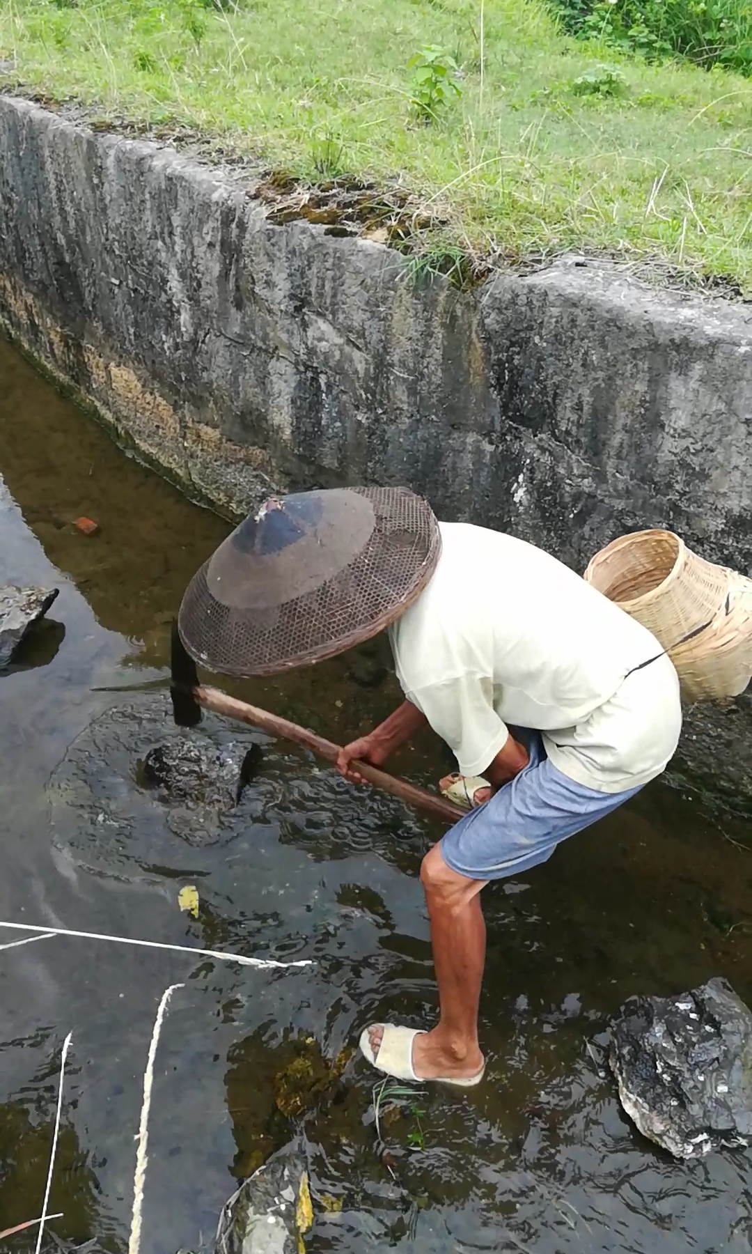 户外抓鱼#最原始的抓鱼方法,敲石震鱼!