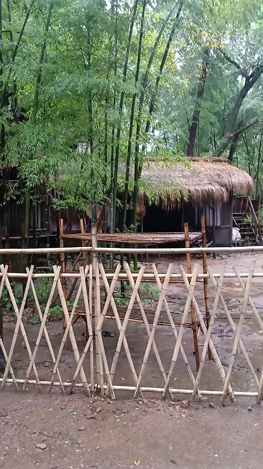 竹林深处有人家