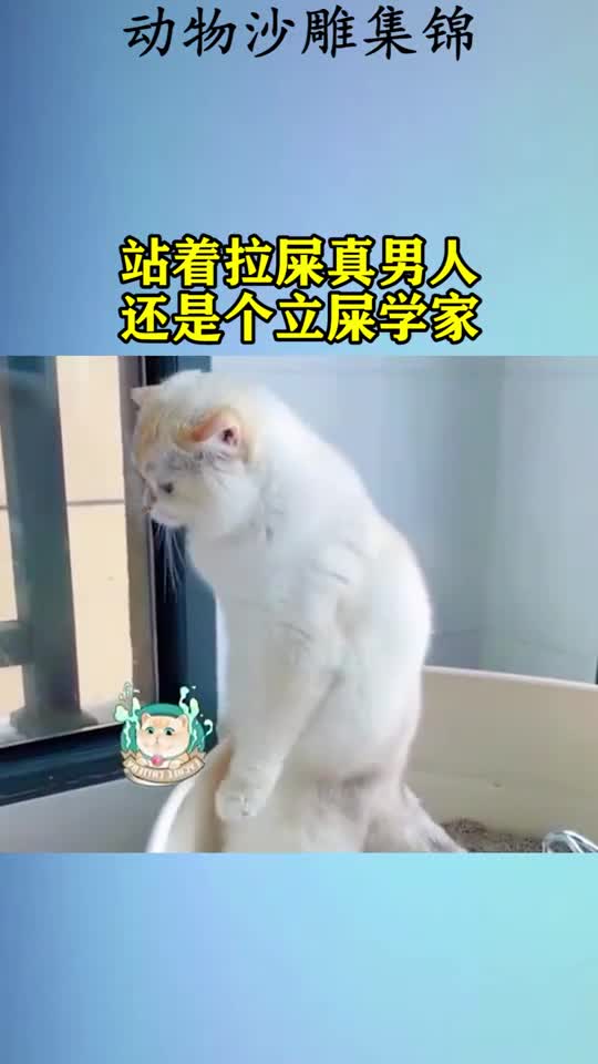 男生站着拉屎图片