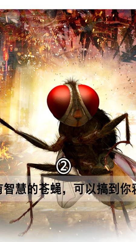 电影解说#看看苍蝇和人类是如何恋爱的?