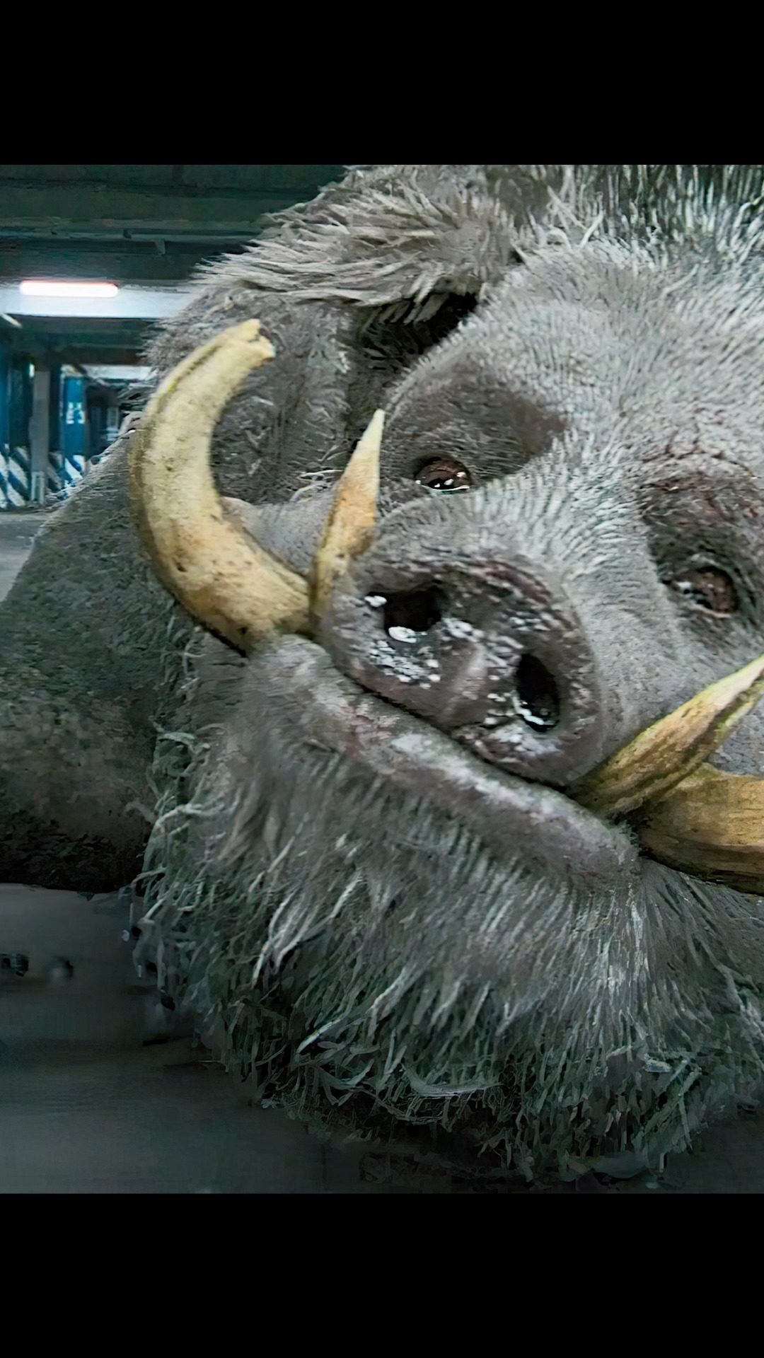 奇幻电影#太多食人猪.