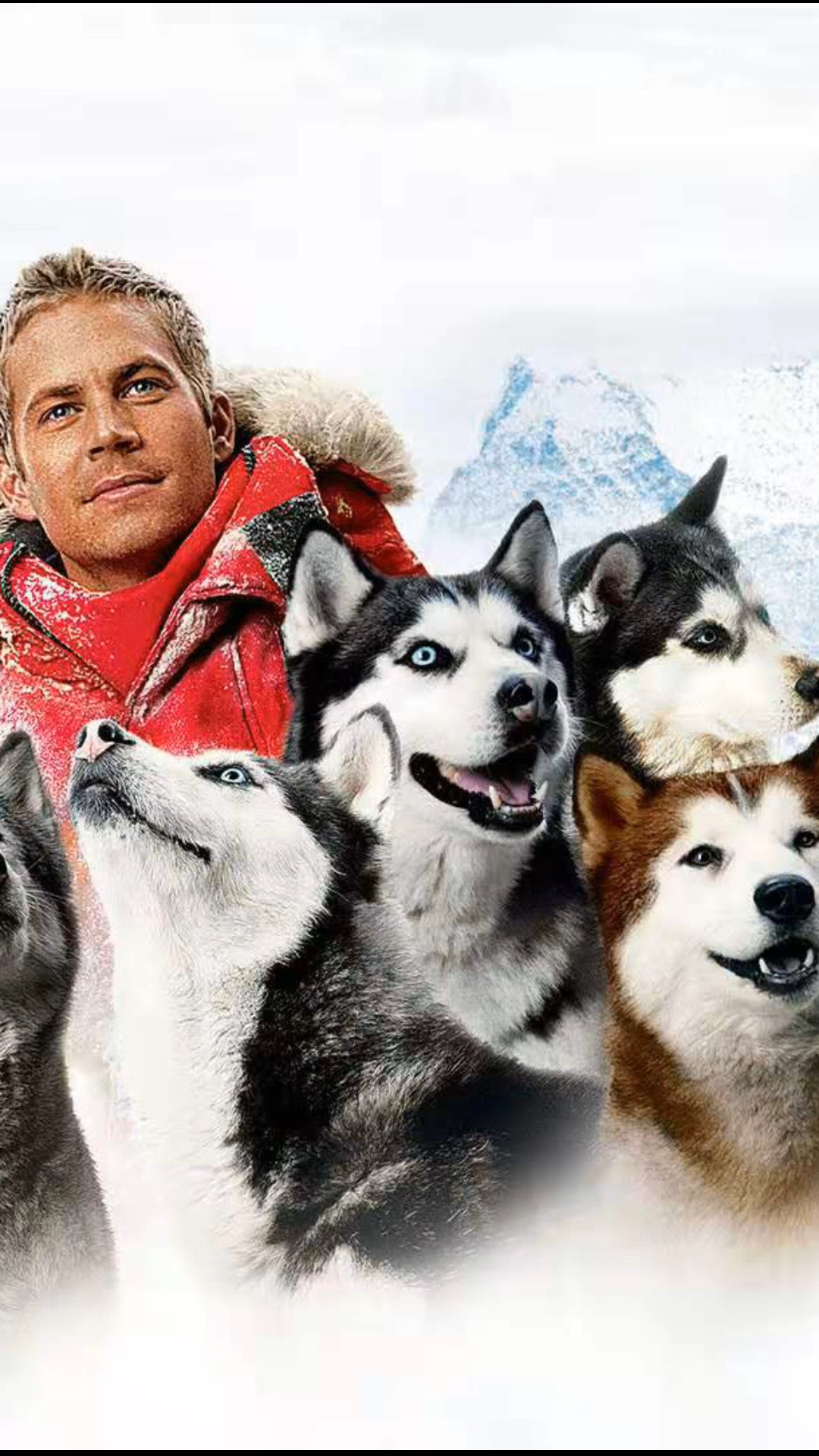 南极大冒险#南极大冒险,8只雪橇犬被困南极175天,艰难生存创造奇＃!