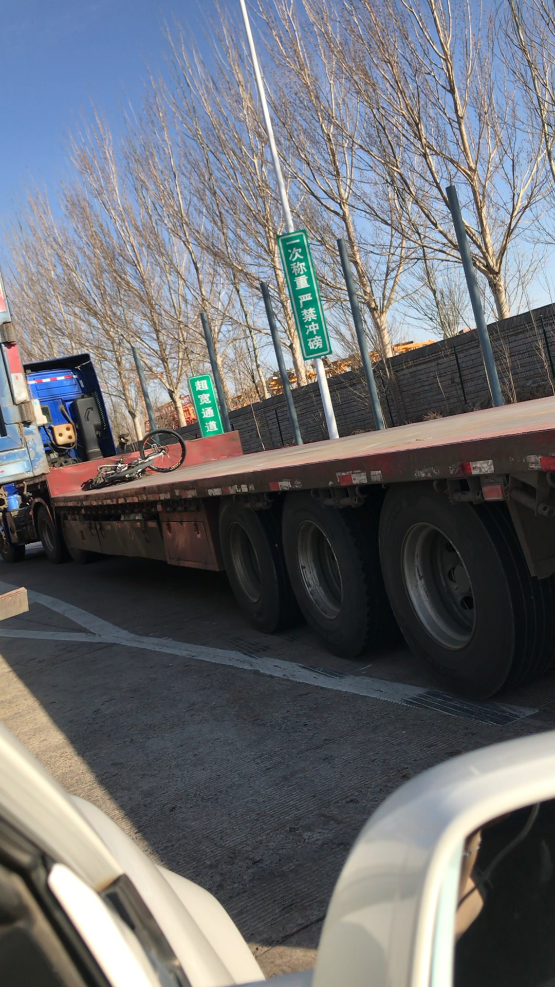 都说小马拉大车,这是大马拉小车哦
