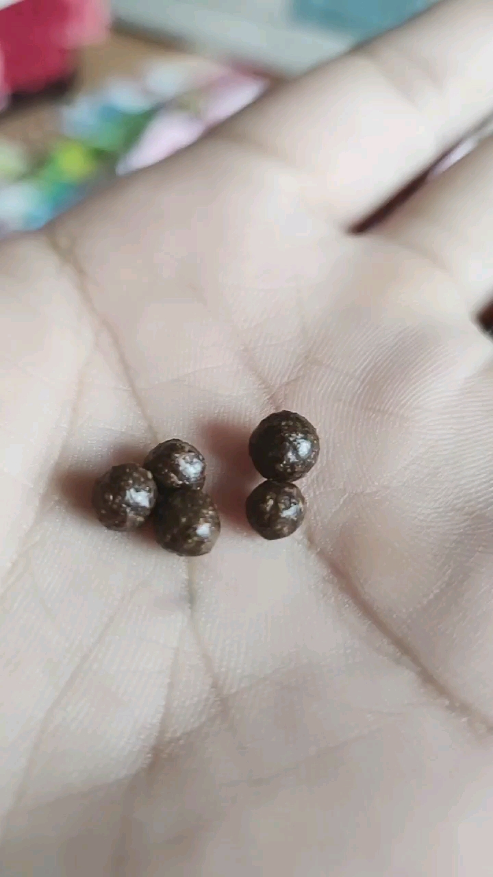 仙丹吃了长生不老