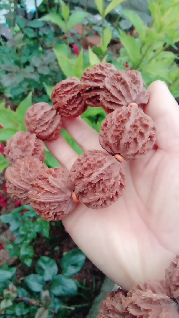 秦岭野生灯笼核桃手串