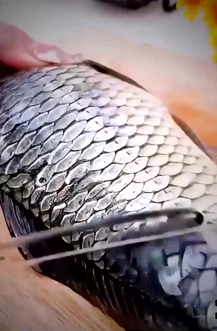 家居好物有了这款不锈钢鱼鳞刀杀鱼破肚都不在话下